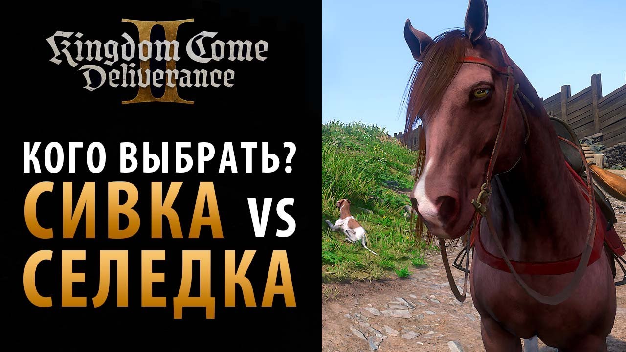Сивка или Селедка? Как прокачать коня в Kingdom Come: Deliverance 2