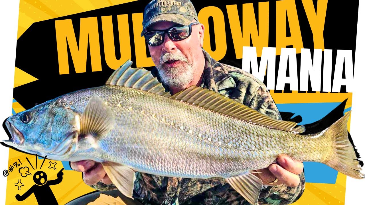 Heart-Pounding JEWFISH Action on Bream Gear!