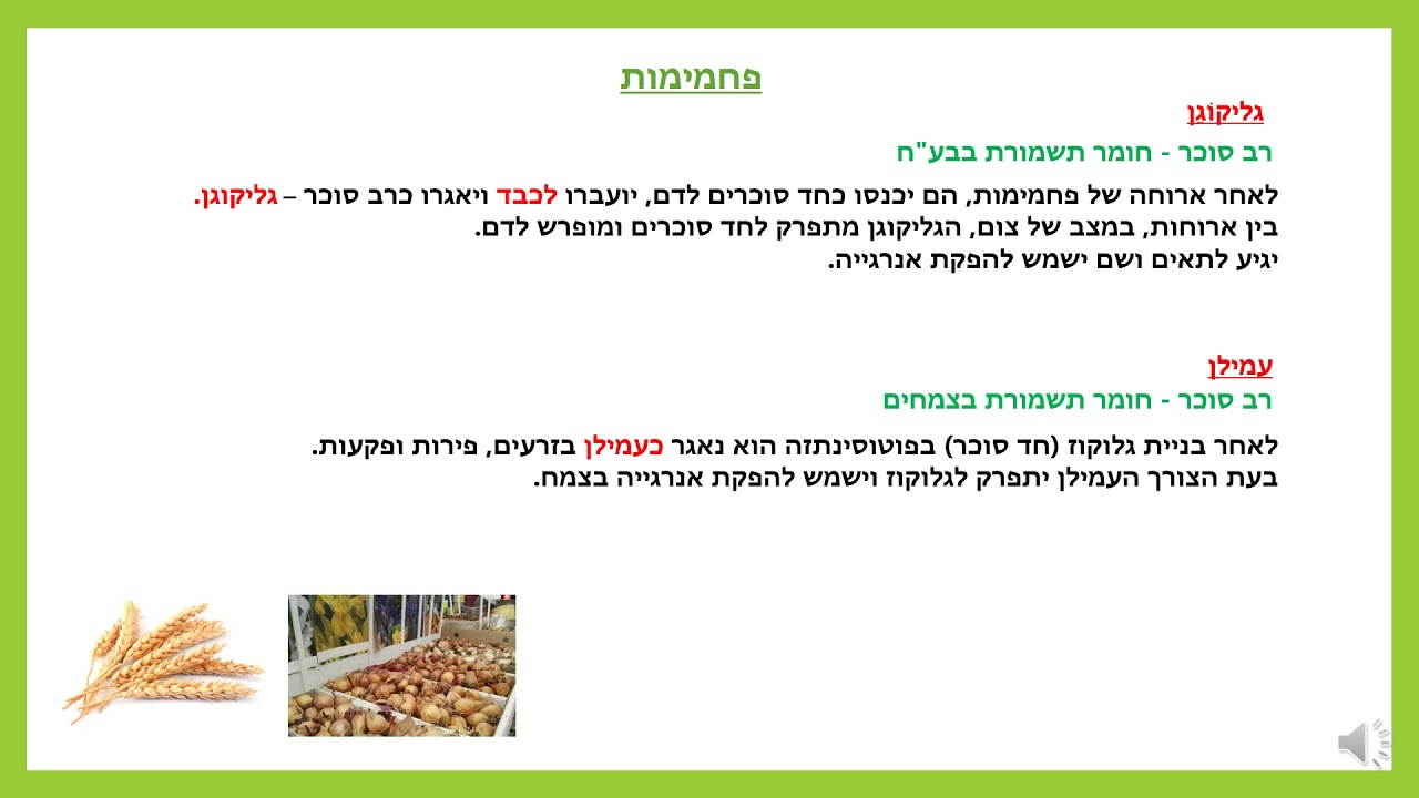 שיעור אסינכרוני בביולוגיה 1: החומרים במזון