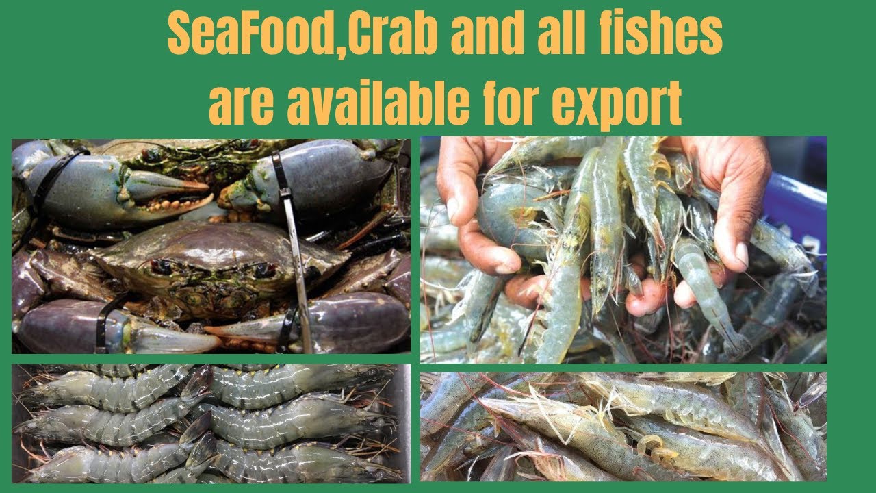 Premium Seafood Export from India | Fresh Fish, Crabs & More for Global Buyers #export #seafood