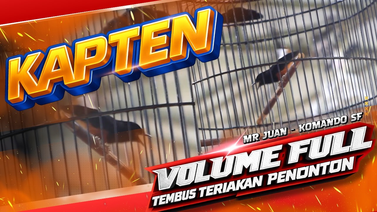 VOLUME POLL 😱 KAPTEN TEMBUS TERIAKAN PENONTON ‼️ MR JUAN - KOMANDO SF