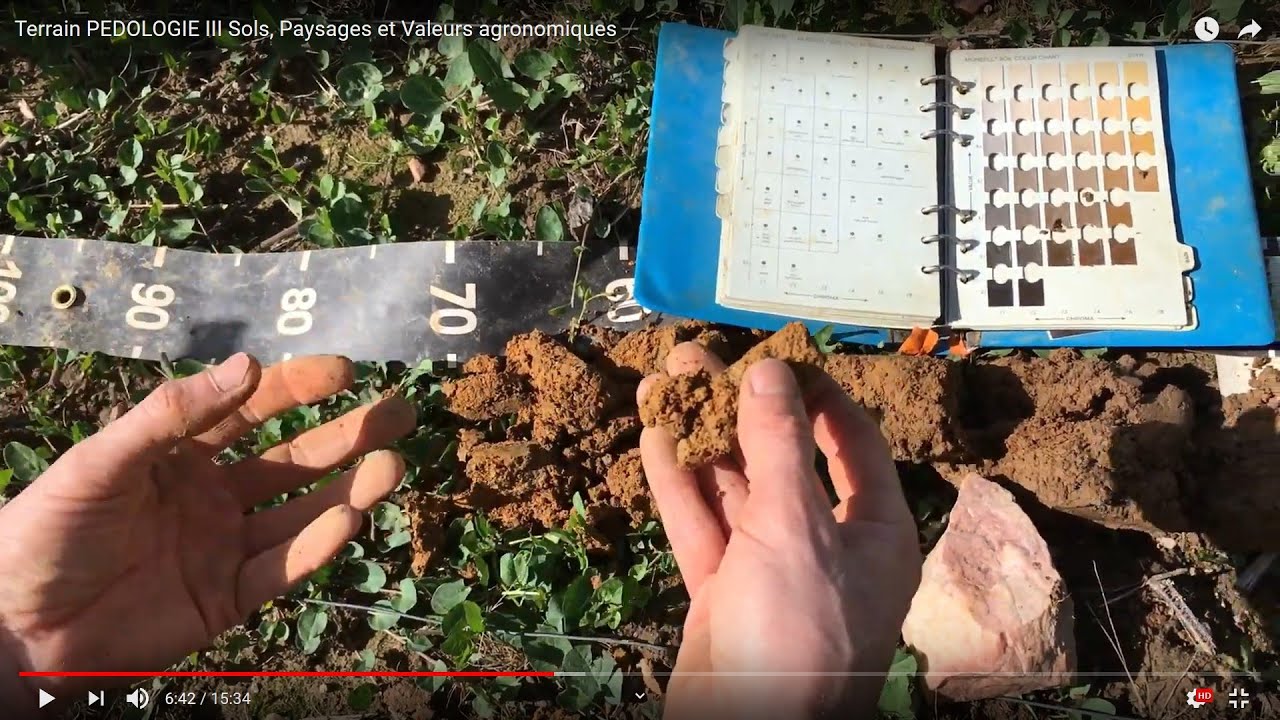 Terrain PEDOLOGIE III Sols, Paysages et Valeurs agronomiques
