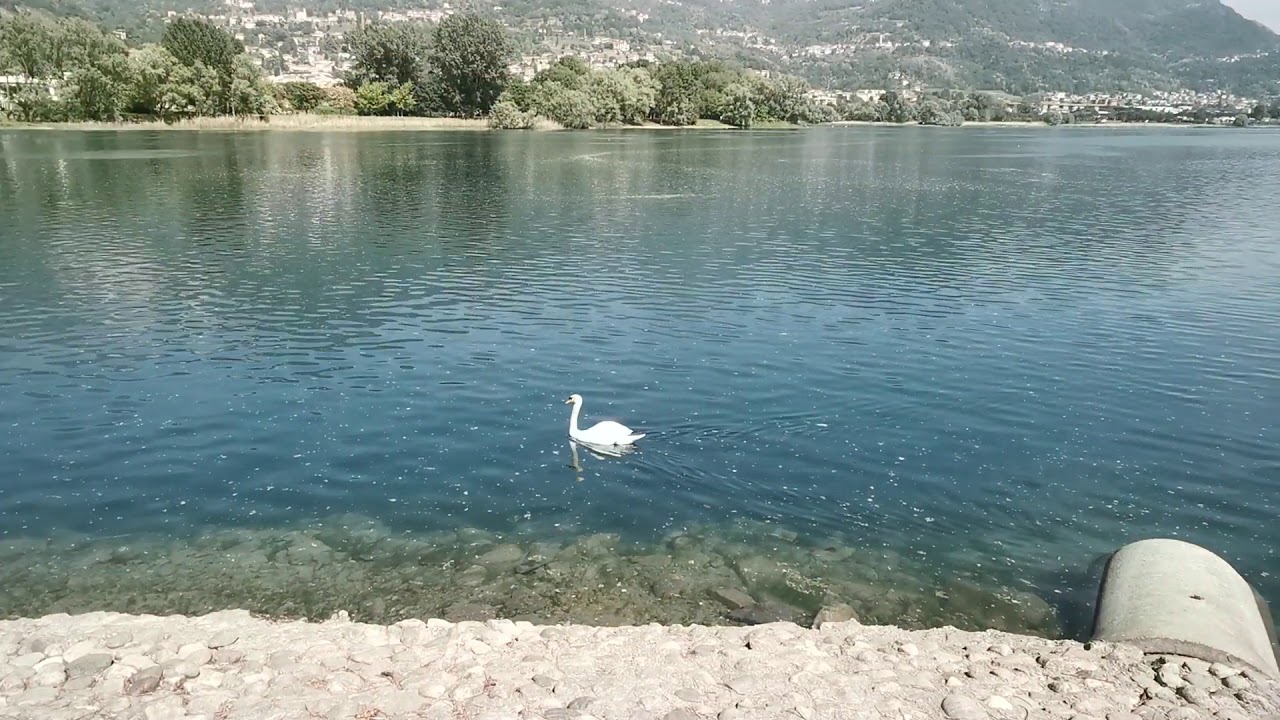 lago di Olginate