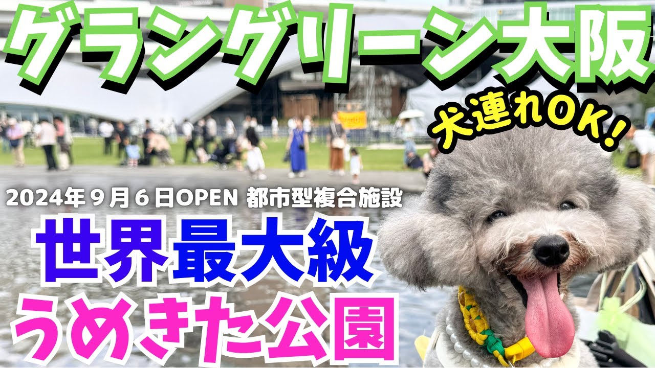 【グラングリーン大阪】話題の新スポット世界最大級の【うめきた公園】徹底リポート！犬と行けるお店カフェ紹介🐶 犬連れ必見！