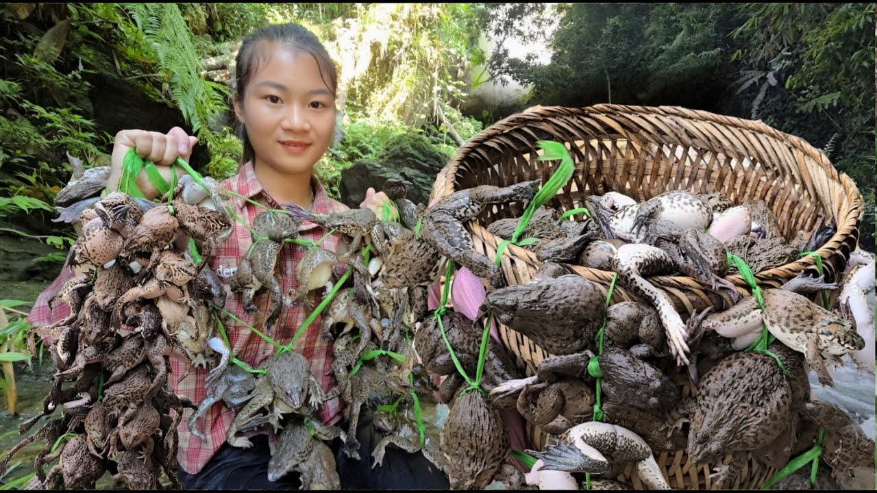 A Vietnamese girl goes alone into the forest to catch frogs for a living - ha thi muon