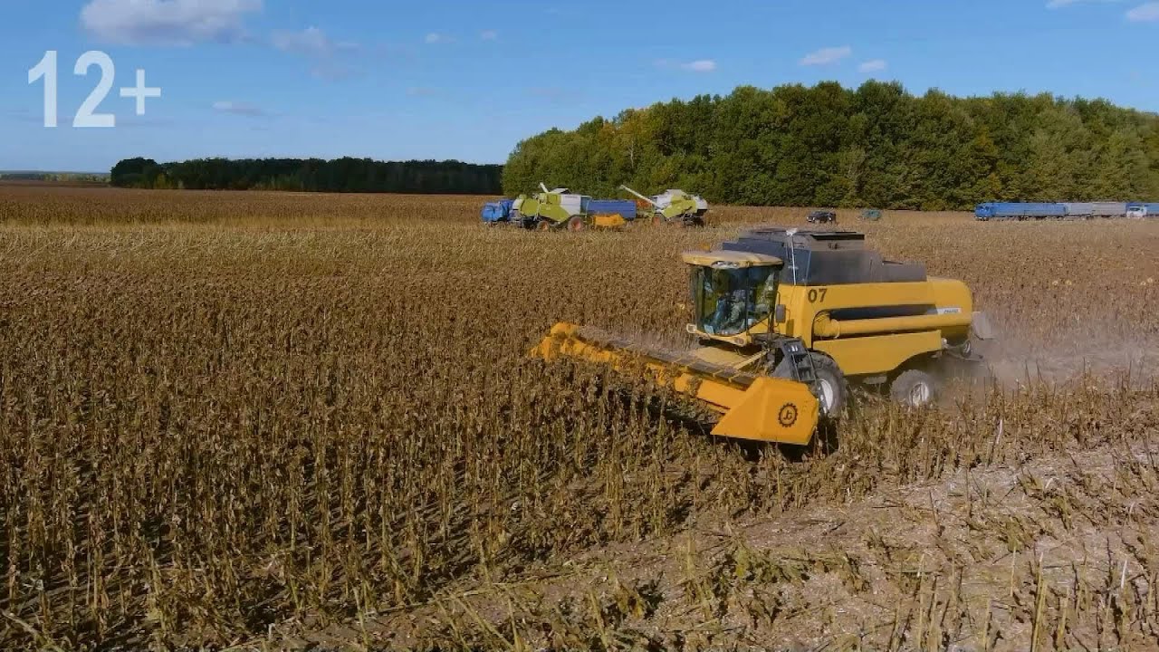 Открытие элеваторного комплекса 