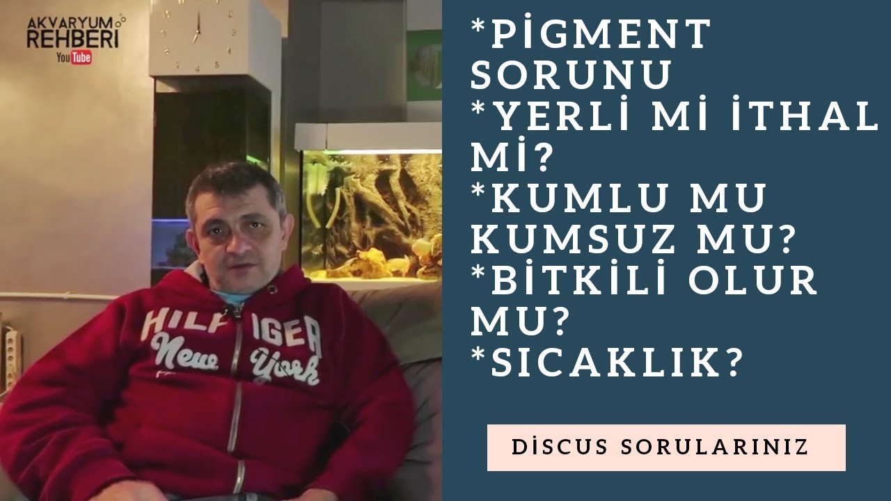 Discus Hakkında En Çok Merak Ettikleriniz