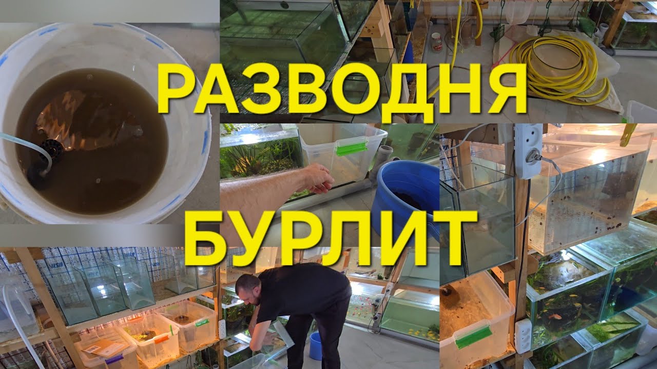 Что я сегодня сделал или НАДЕЛАЛ😂