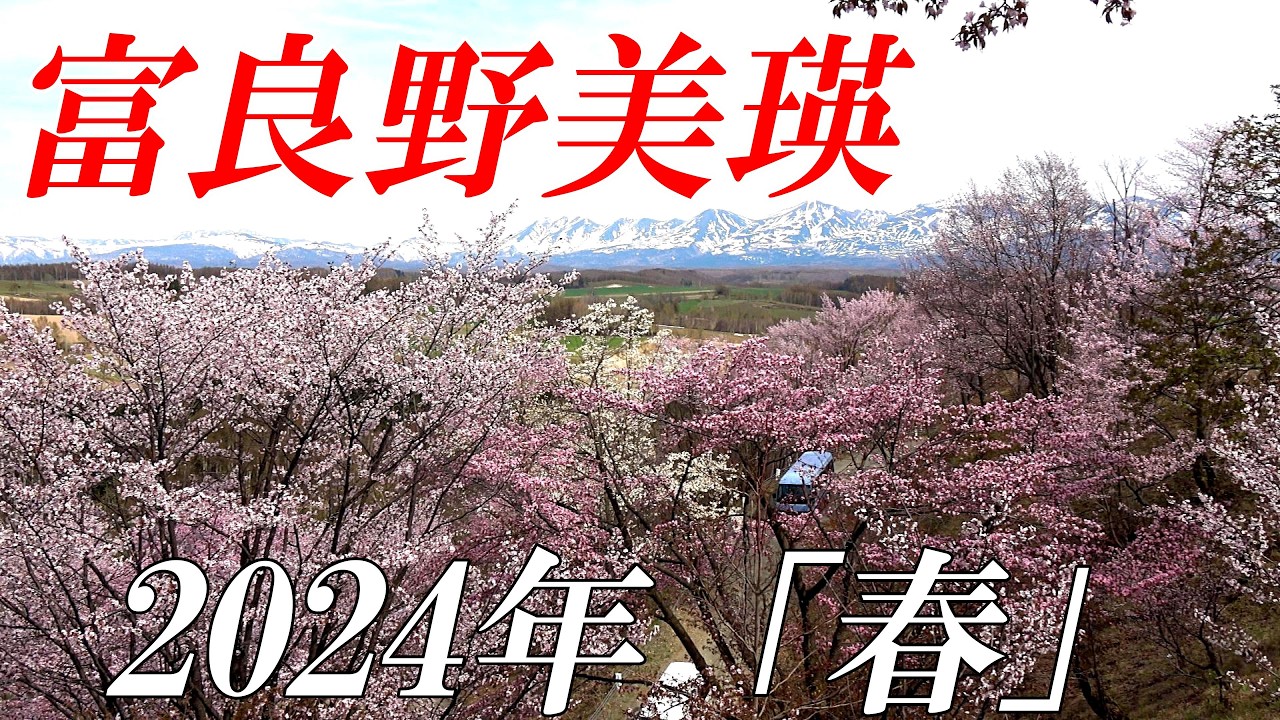 【富良野美瑛】桜の季節のお勧め場所を特集してみました　４Ｋ