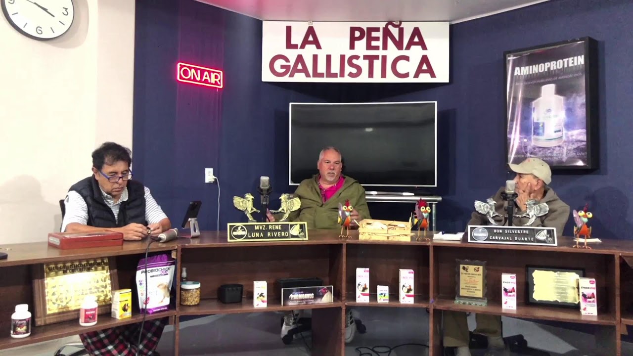 PROGRAMA 779 -  LA PEÑA GALLISTICA