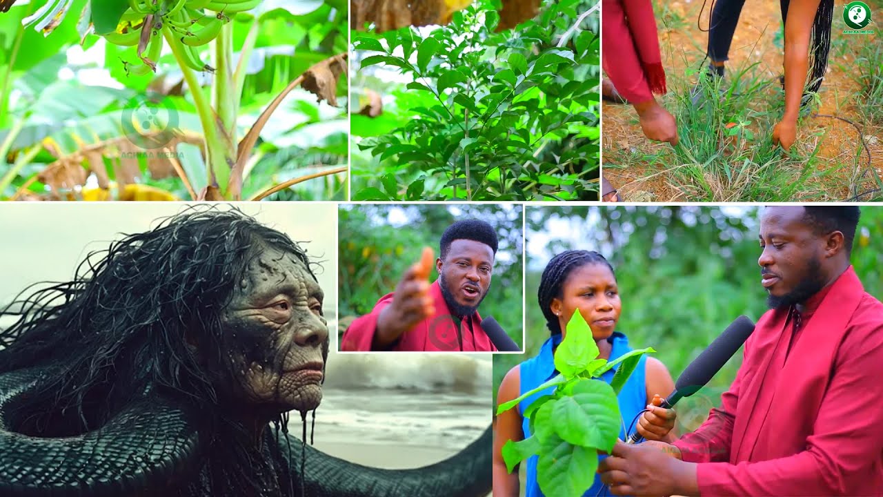 Deep herbal teachings on herbs that can help you  make more money & drive away family witches