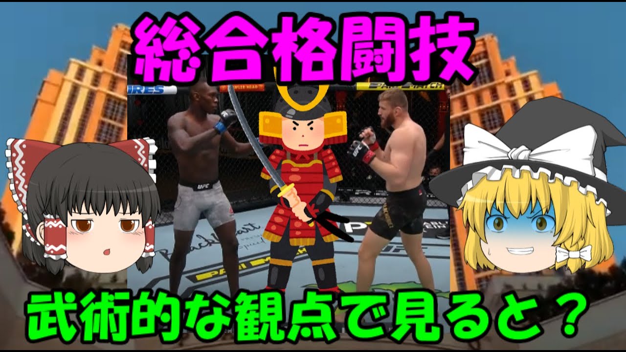 総合格闘技を武術的な観点から分析してみた