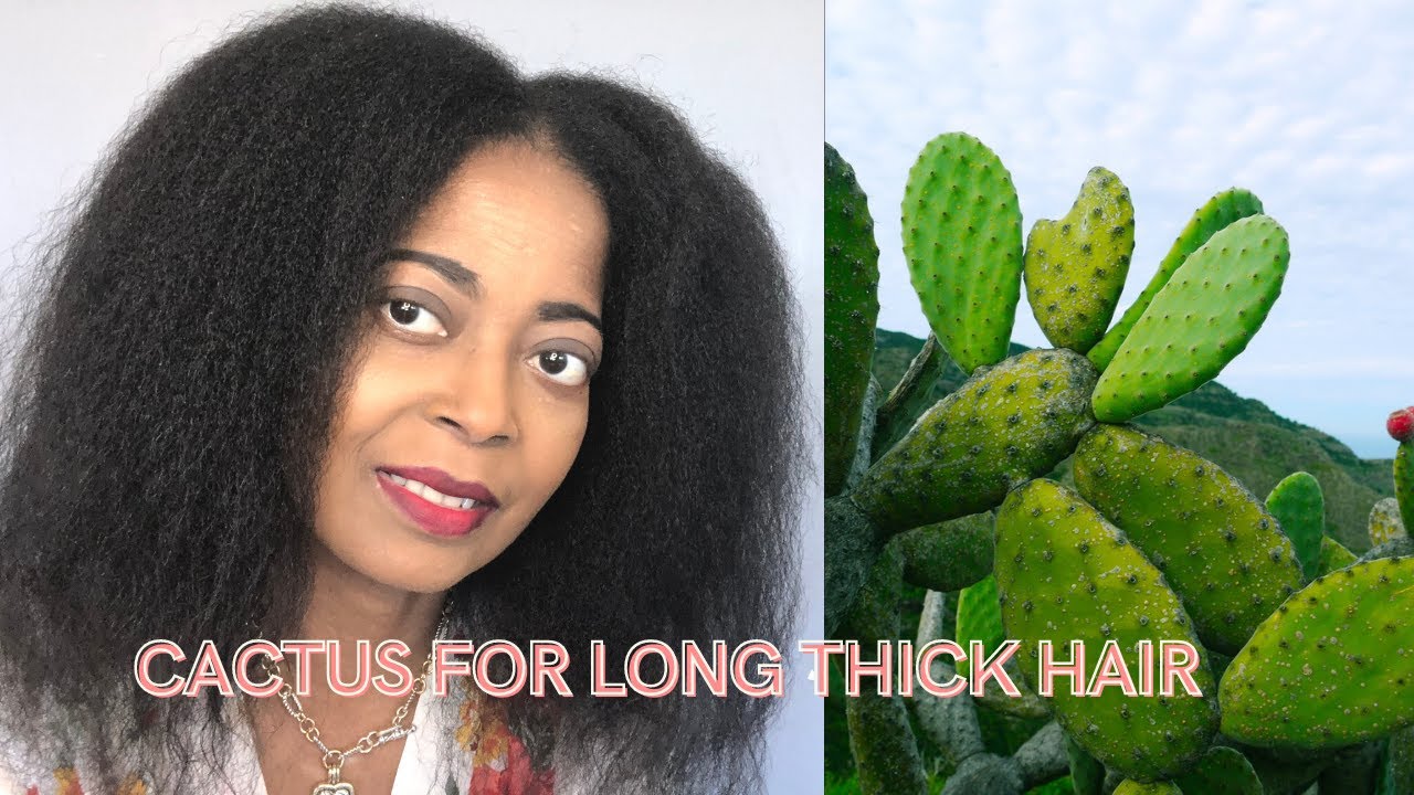How to Make  Cactus Oil || Grow Long Thick Hair Fast