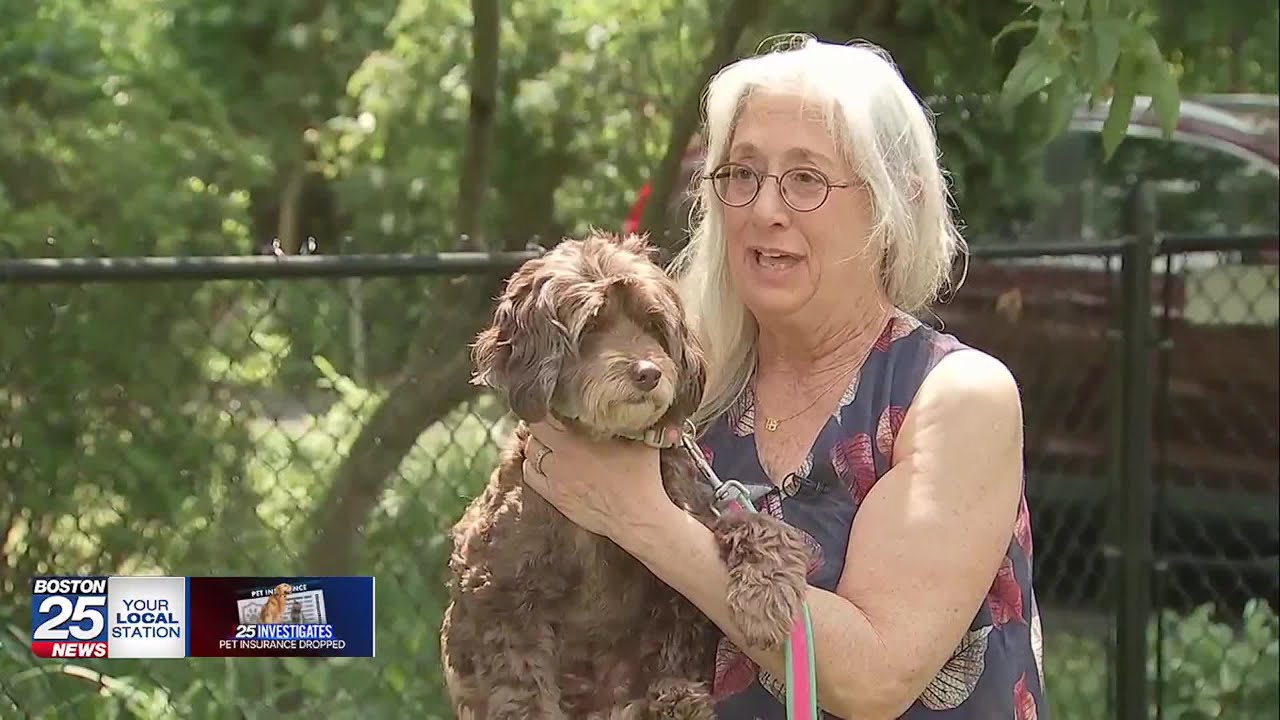 25 Investigates: Mass. dog owners suing Nationwide after pet insurance policies dropped