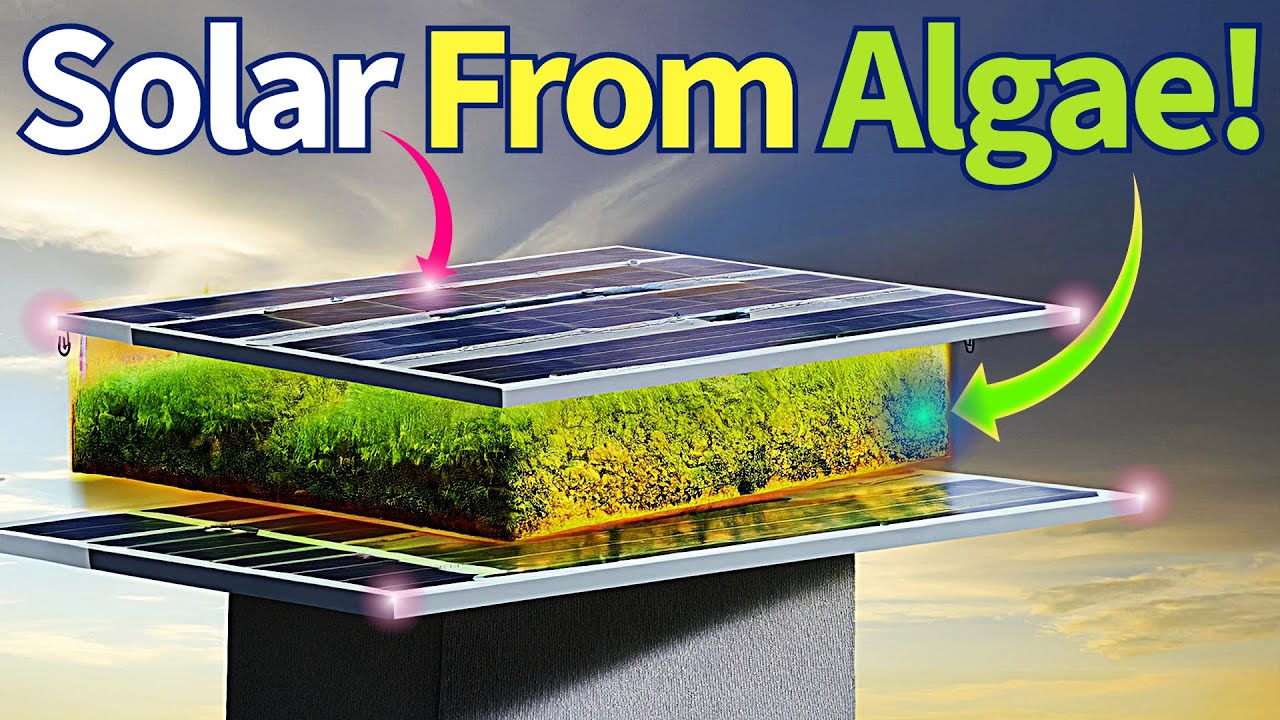Amazing Living solar panel from Algae! (Indian Breakthrough 2024)