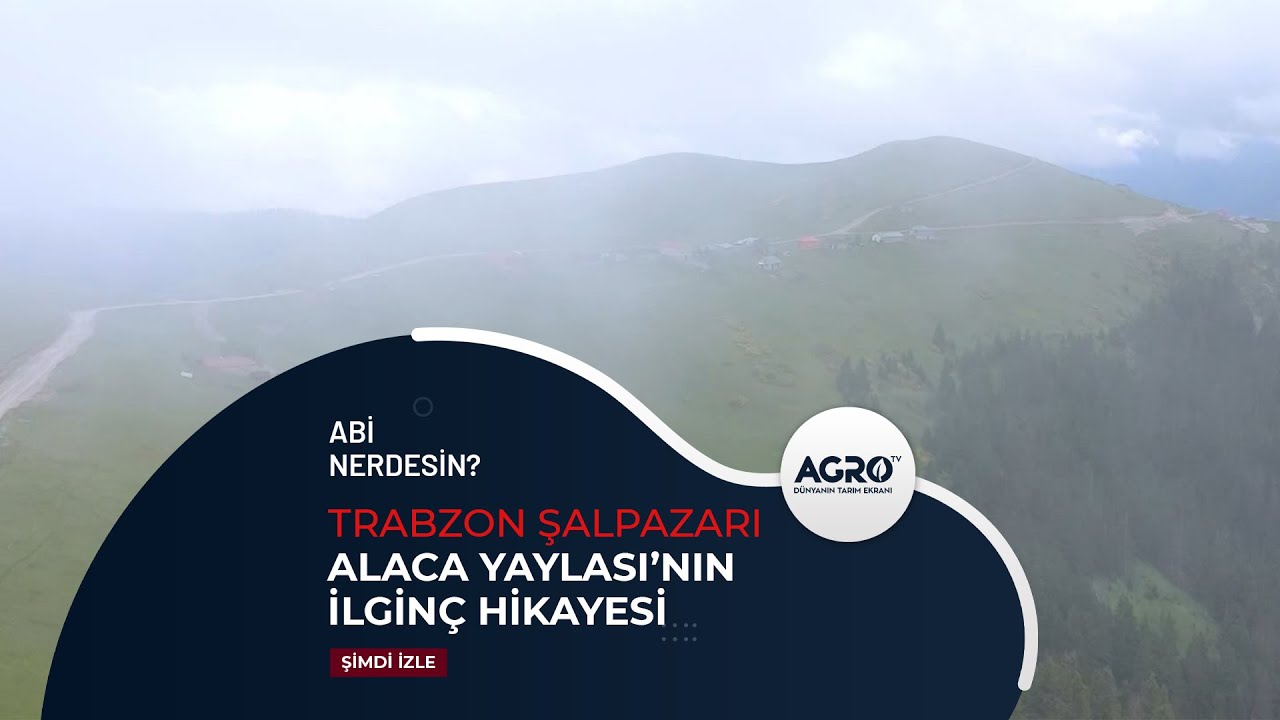 Alaca Yaylası'nın İlgin&ccedil; Hikayesi | Abi Nerdesin?