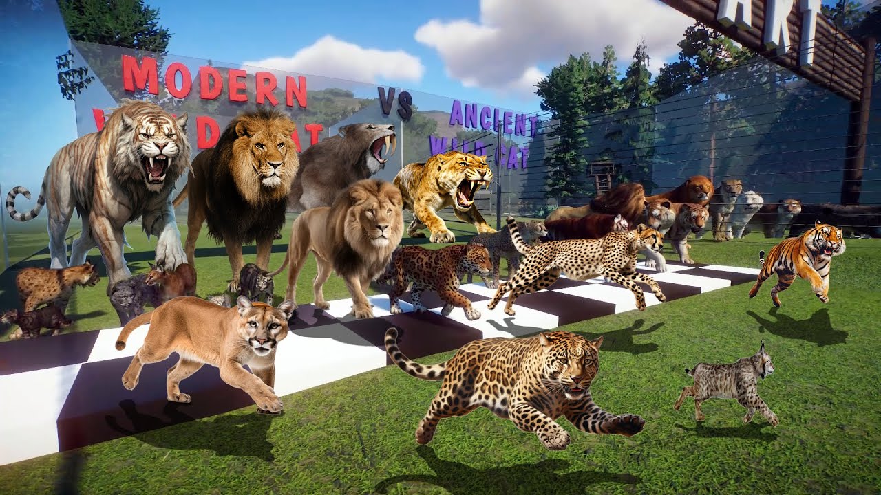 Big Cats VS Ancient Big Cats NEW Animals Race in Planet Zoo included Lion, Smilodon, Cheetah & Tiger