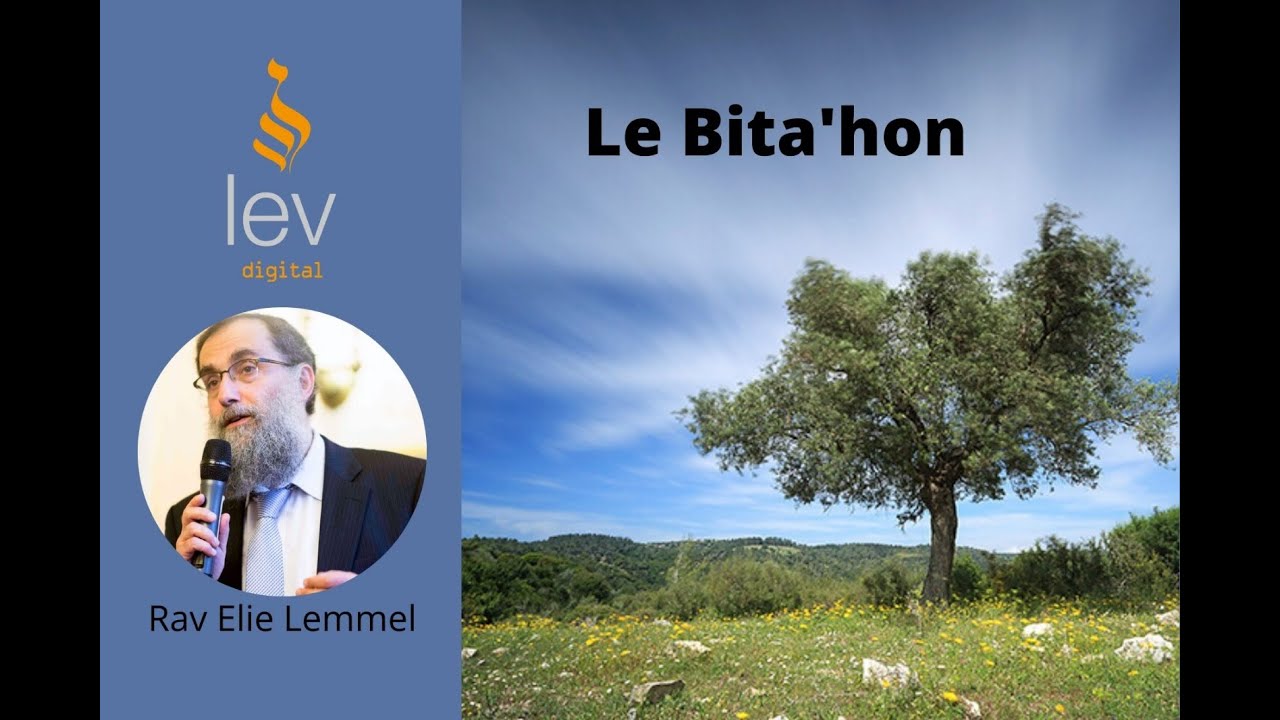 Le Bitah'on - Cours 3 - Rav Elie Lemmel