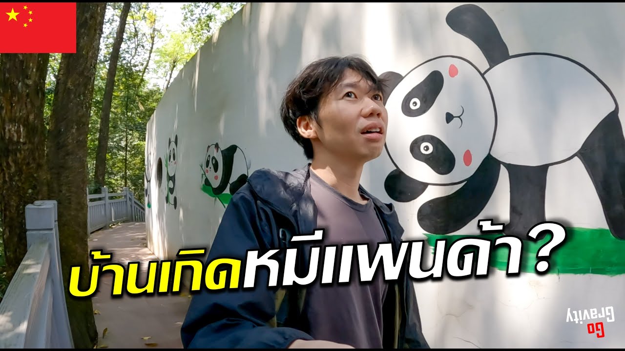 🇨🇳 Ep.7 เที่ยวเมืองบ้านเกิดหมีแพนด้า | One day in Ya'an