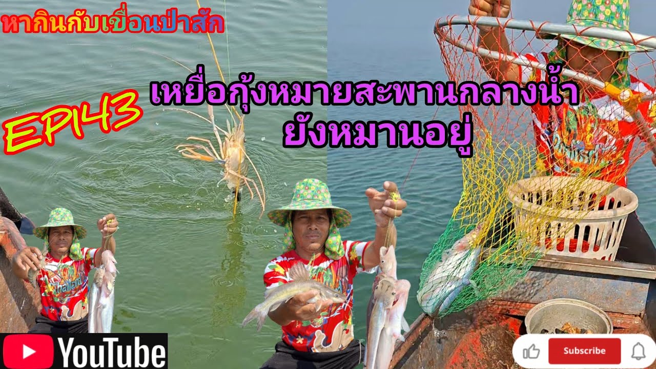 EP.143 เหยื่อกุ้งหมายสะพานกลางน้ำยังหมานอยู่ #fishing #เบ็ดราว #นั่งเรือตกปลา #หากินกับเขื่อนป่าสัก 