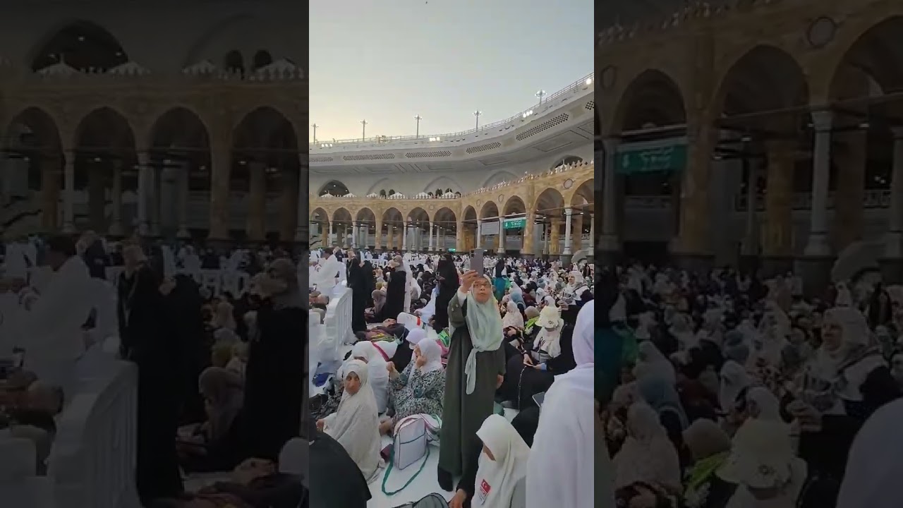 2024 hajj #hajj2024 #madina #madinah #pakistan #saudiarabia #shortvideo #shorts #madinasharif #viral