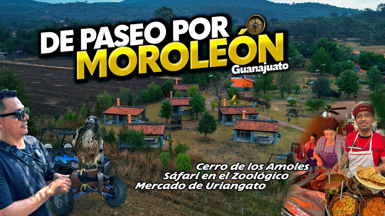 Todo mundo viene a comprar ropa a Moroleón y se olvidan de sus atractivos🦍🐯🗻| #guanajuato #moroleon