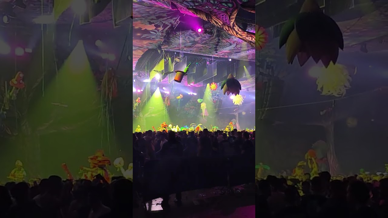 ELROW Enchanted Forest 2024 Sofia  #electronicmusic #festival #techno #party
