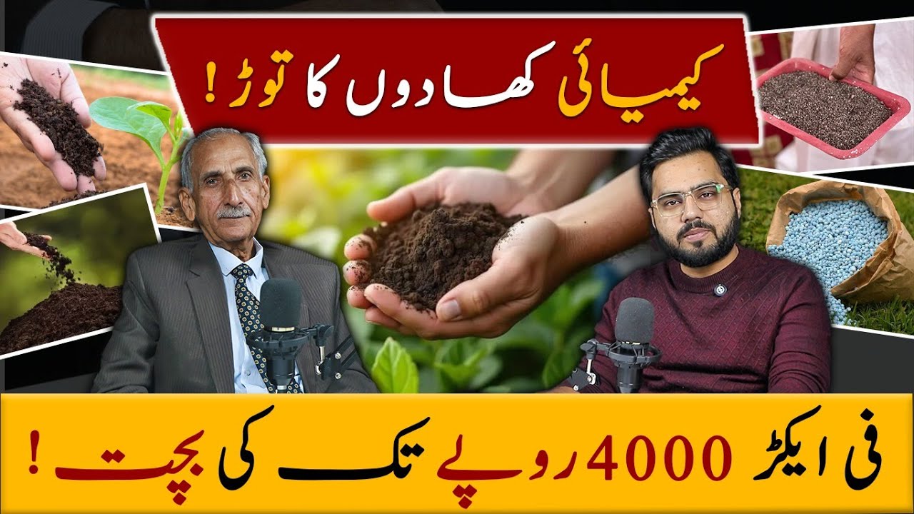 How to Use Biofertilizers for Better Yield | Best Alternative for Chemical Fertilizer