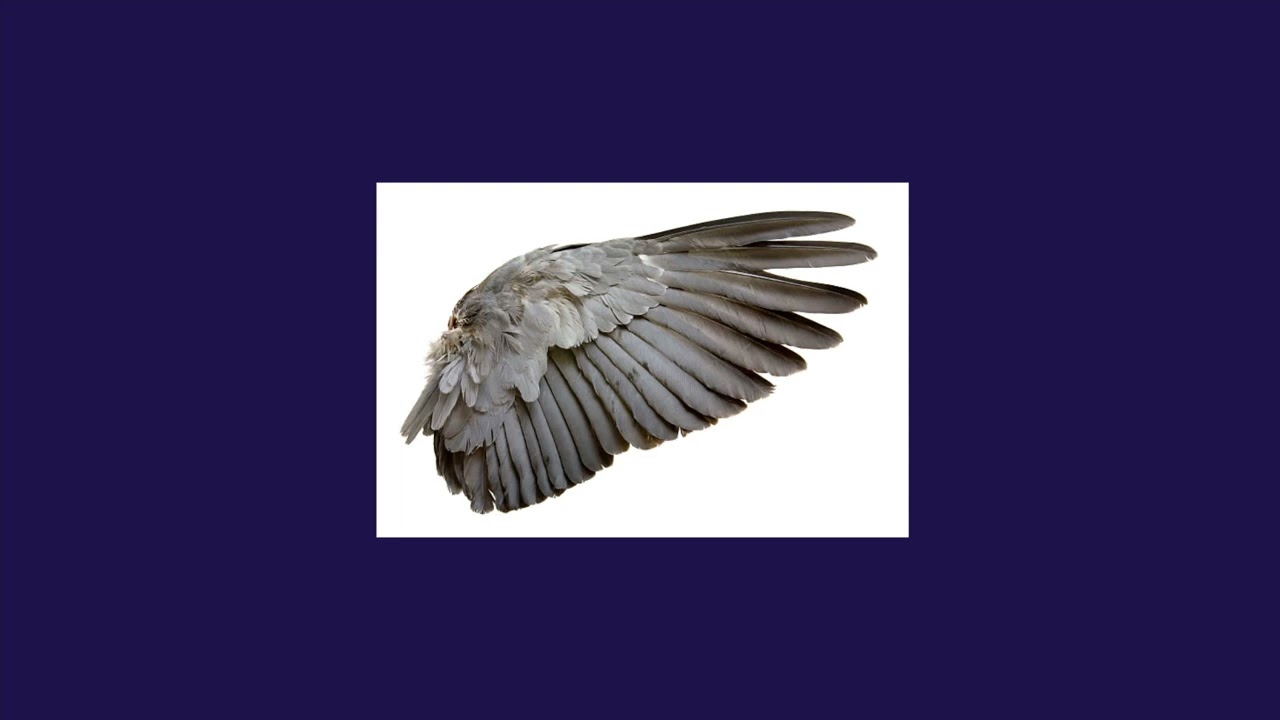 Birdy - Find Me (sped up)