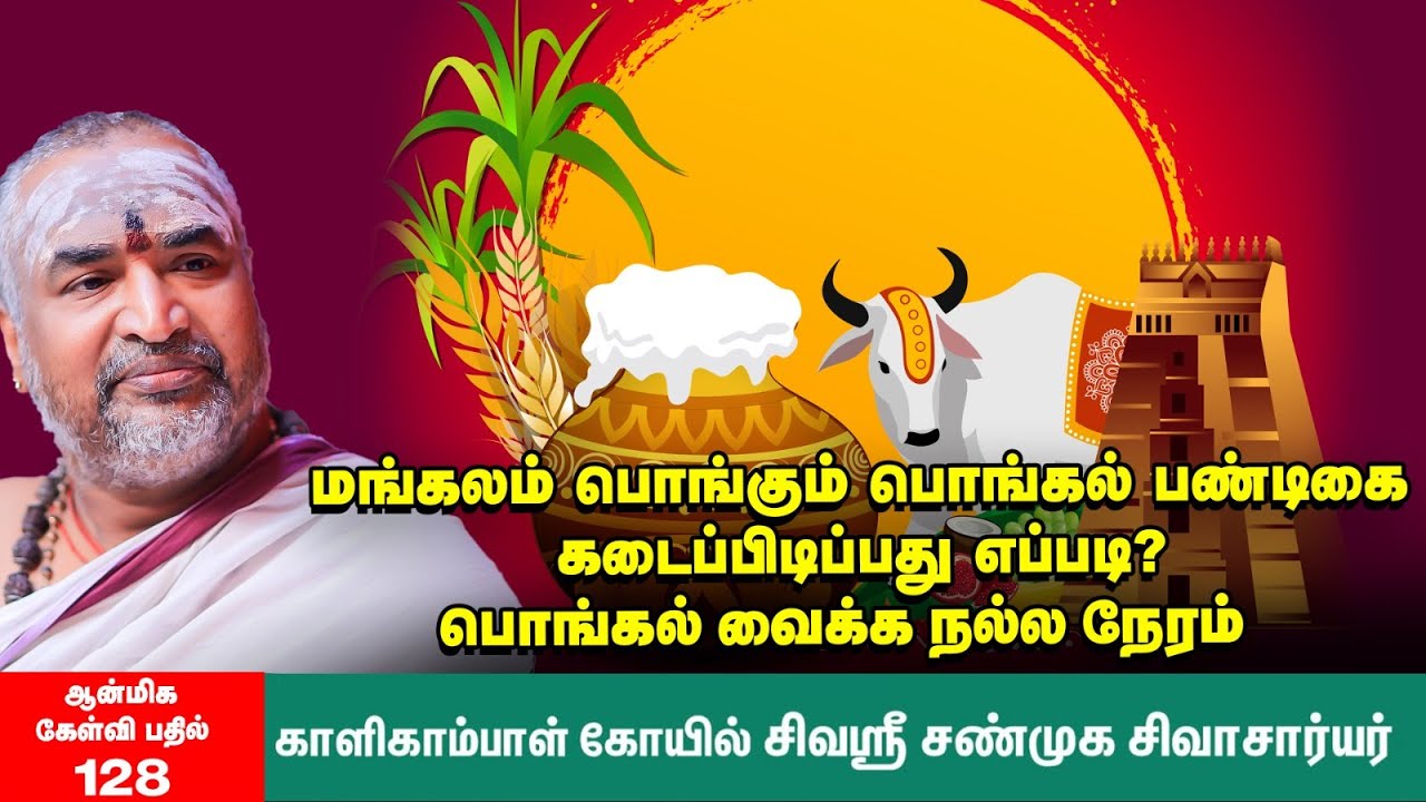Pongal | போகி, பொங்கல், கணுப்பொங்கல் கொண்டாடுவது எப்படி? புண்ணியகால தர்ப்பணம் எப்போது?