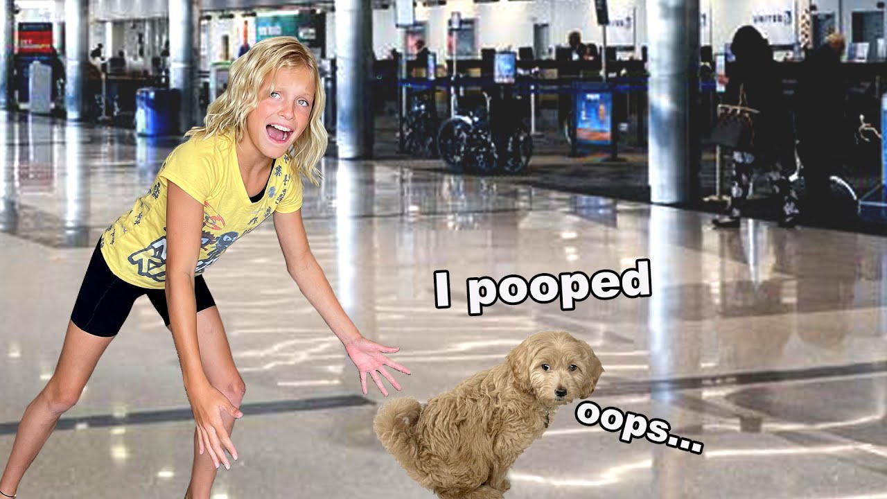 First time flying with a puppy! IT WAS BAD!