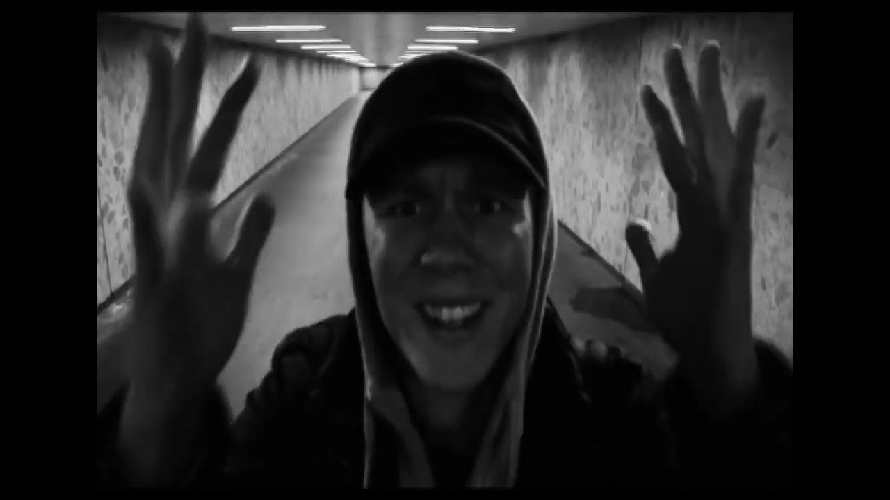 Trepac - Haters Hymne (2010 video edition)