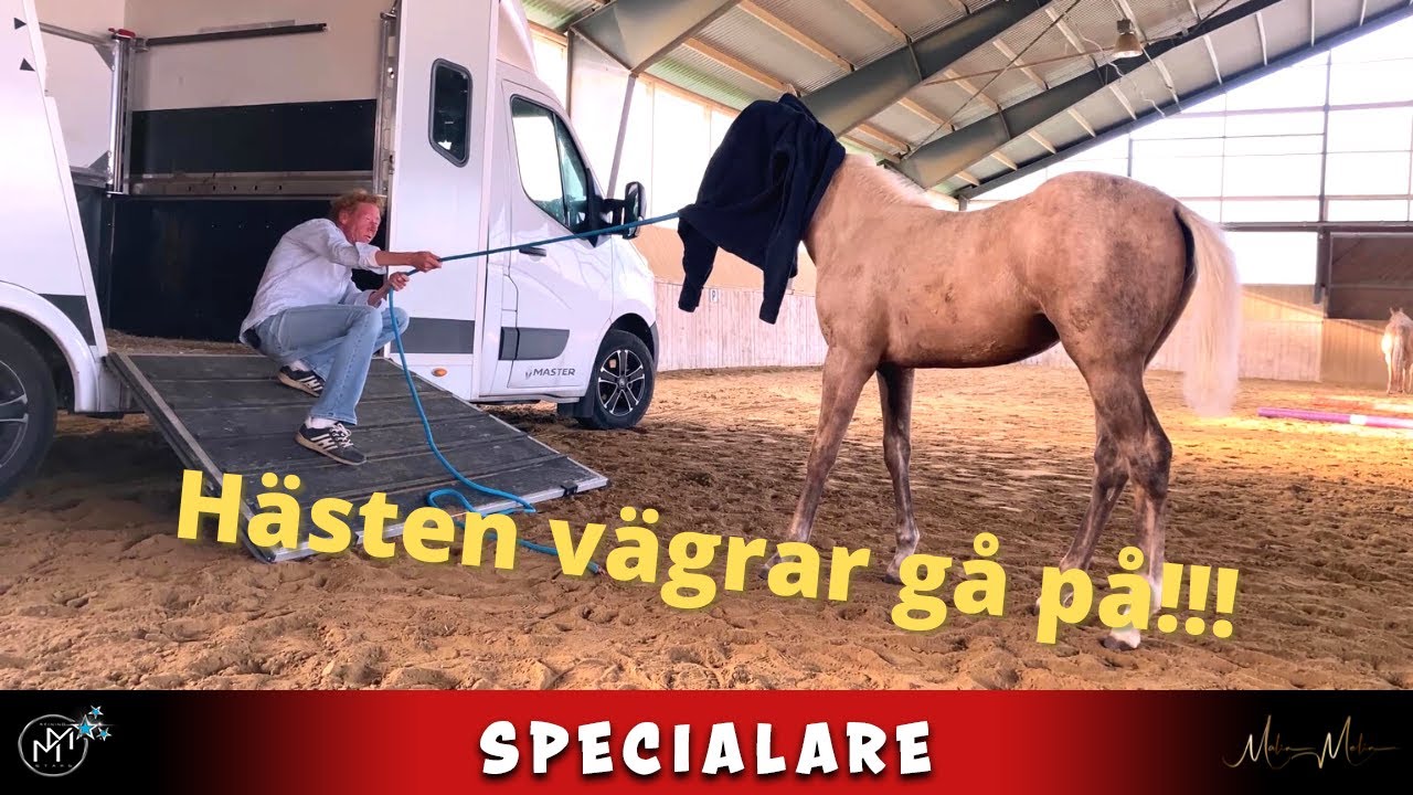 hemligheten att lasta häst