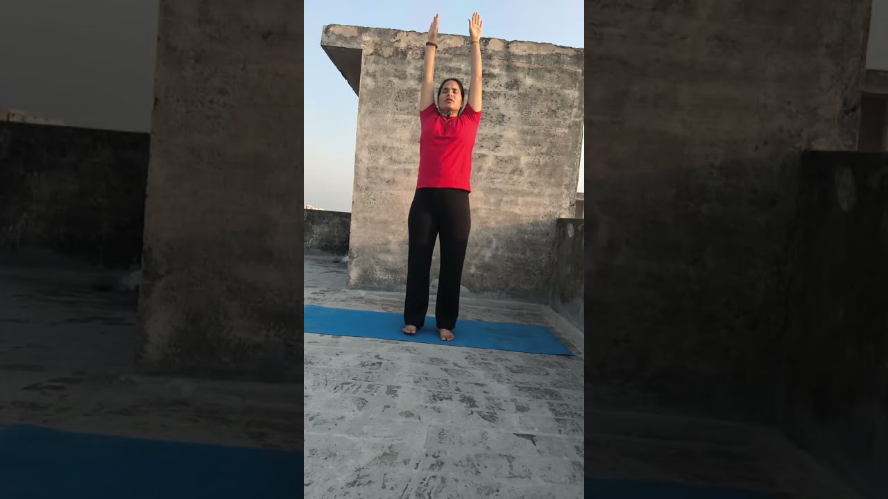 Free live class Yoga for begginers ।।Yoga for wellness #yoga #fitness @Yoगtube  #yogpreetiyogpreeti