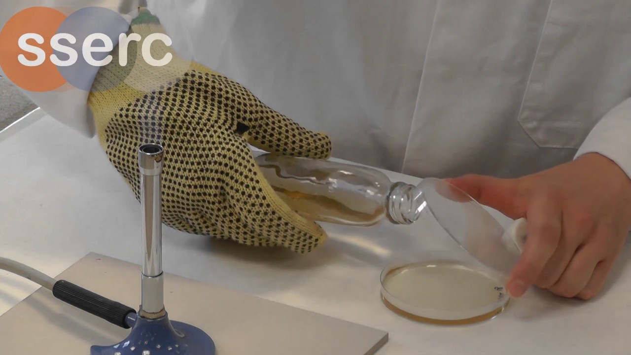 Micro Techniques  Pouring a Plate