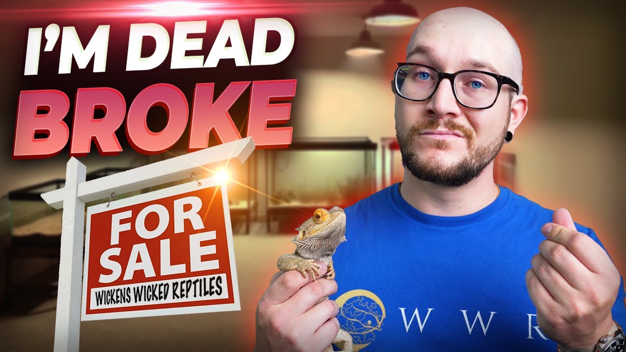 I Went DEAD BROKE Breeding Reptiles and You Might Too!