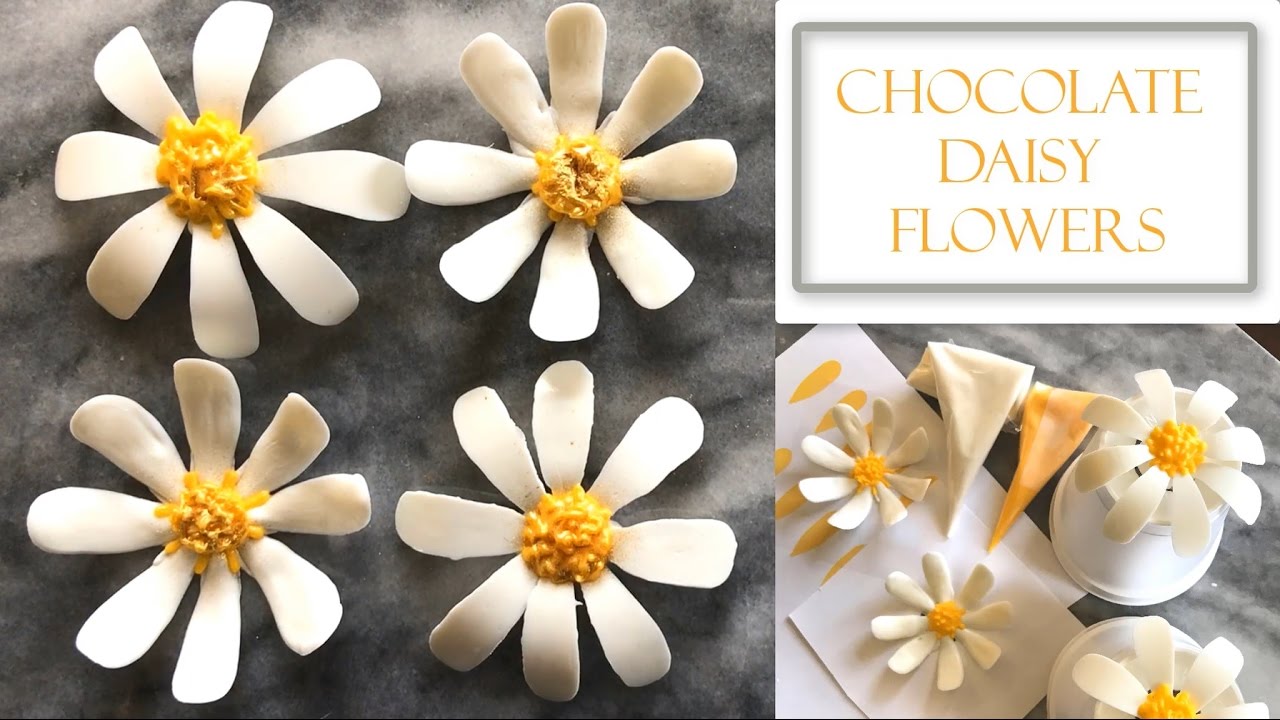 How to Make Chocolate Daisy Flowers | Two Design Concepts