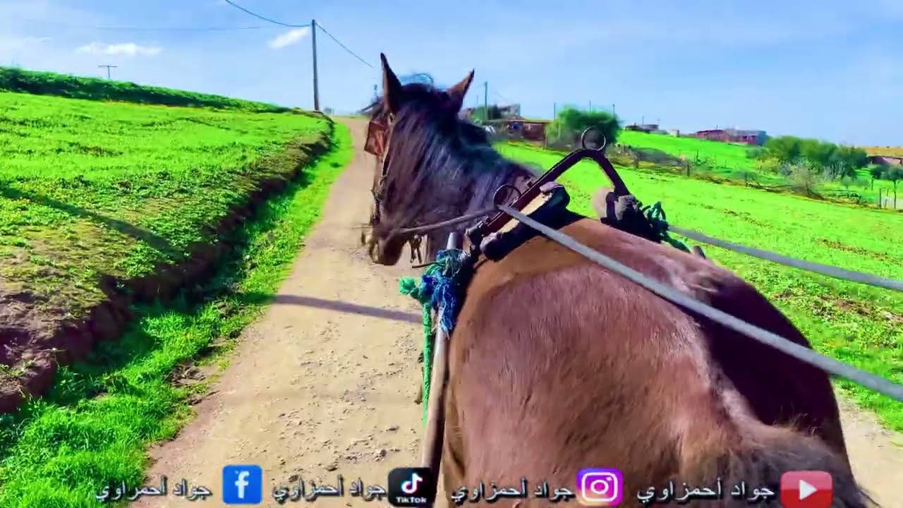 جولة في طبيعة بالعربة الحصان التقليدية في مدينة الخميسات⛰️🐎🇲🇦🥰