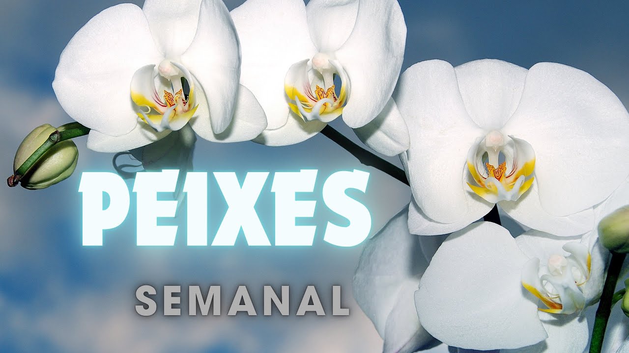 PEIXES🐟Se você tiver paciência essa pessoa vai te levar ao altar,já vê futuro juntos