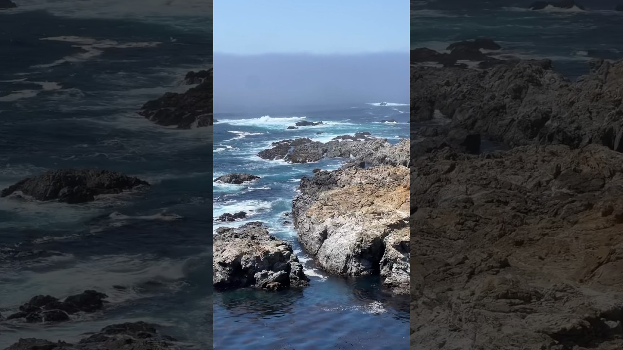 #CaliforniaDreaming #CaliforniaLove #CaliVibes #CaliforniaCoast #CaliforniaLife #CaliforniaRoadTrip