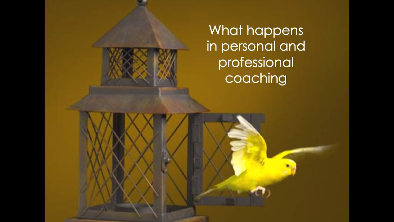 What happens in coaching?