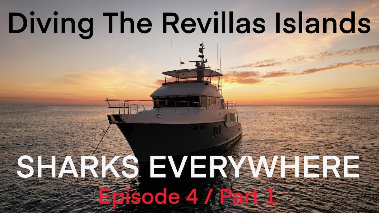 Riding Dragon EP4 Sharks Everywhere