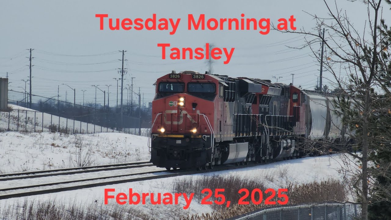 Tuesday Morning at Tansley • February 25, 2025