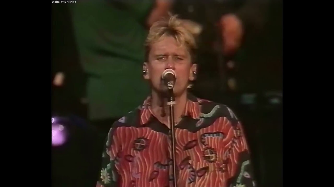 Rainhard Fendrich - Brüder | Live Konzert 1994