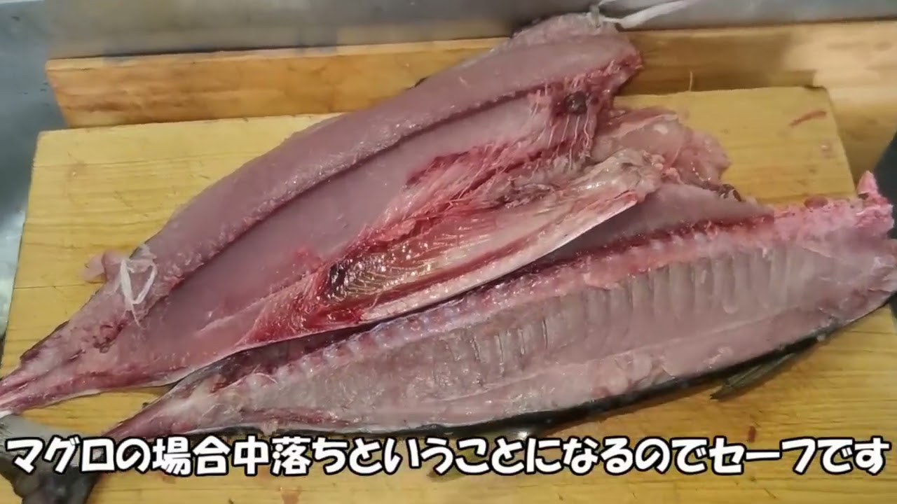 マグロ（一部無修正）