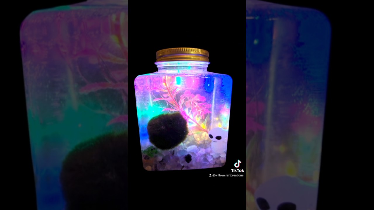 Moss ball pets up for adoption! Habitat with lights with substrate, plants, crystals and decor