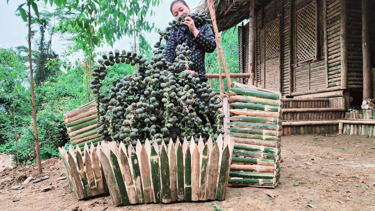 EP20 Conquer the top of the mountain, bring green trees to the farm . make bamboo pots #bushcraft