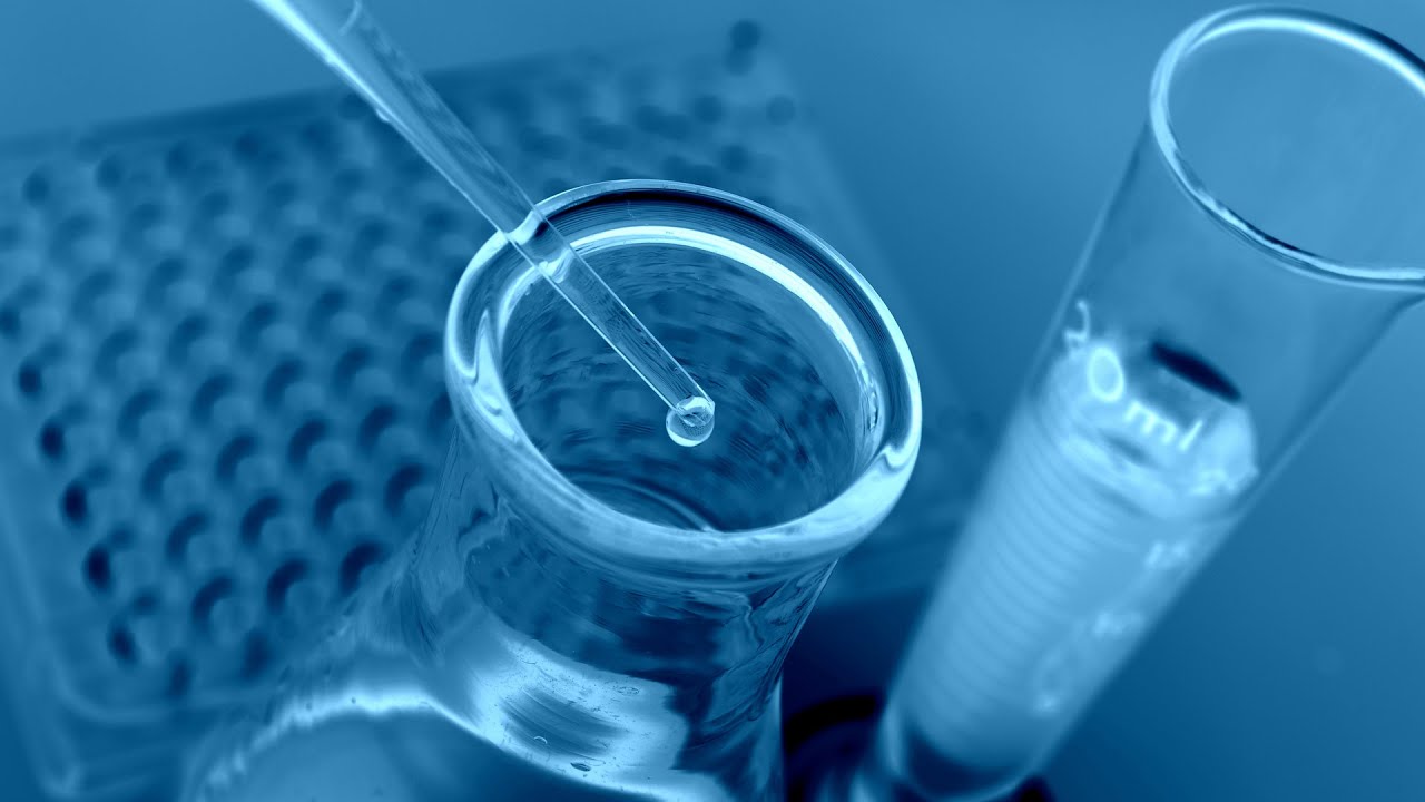 Can you build a synthetic human? | World Science Festival