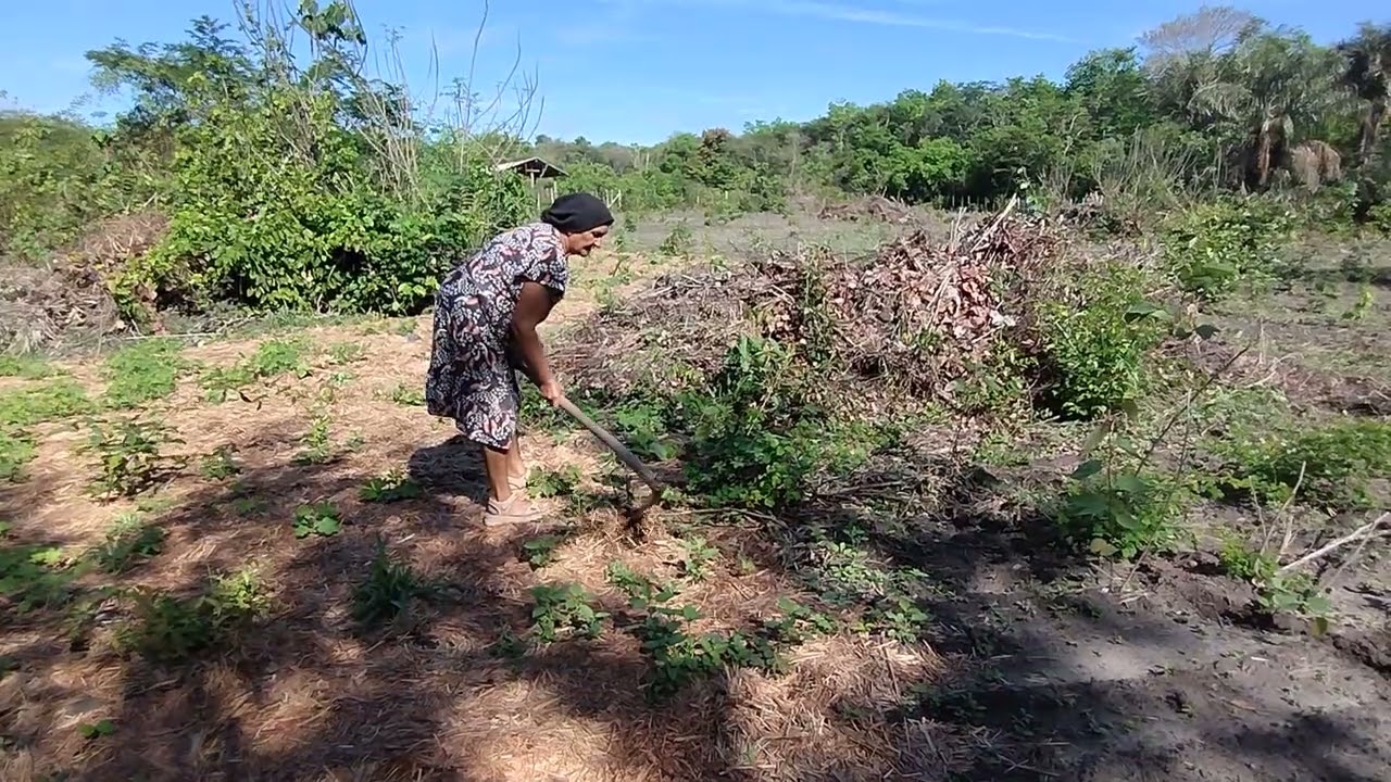 MÃE NA ROÇA  PLANTANDO COM OS TRABALHADORES