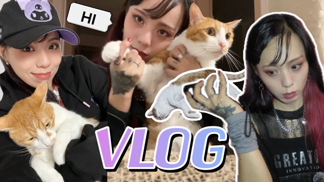 여름 브이로그☀️ 고양이 나초와 루미의 일상 Vlog Summer ☀️ Cat Nacho and Rumi's daily life